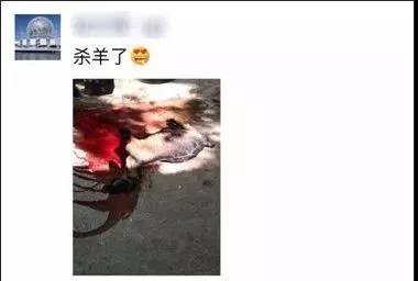 微信图片_20190910154839.jpg